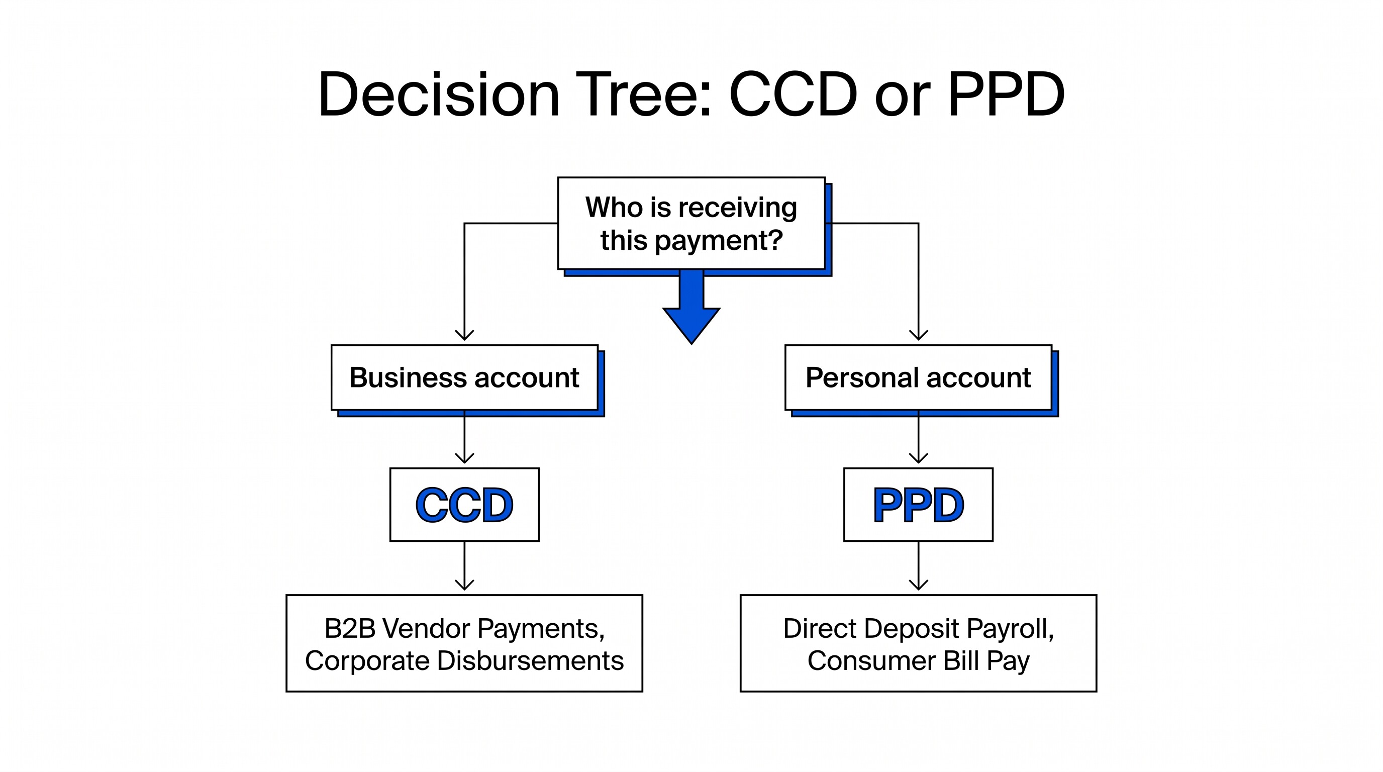 ACH CCD vs PPD: Choosing the Right SEC Code for Your Payment Decision tree showing when to use CCD versus PPD ACH codes